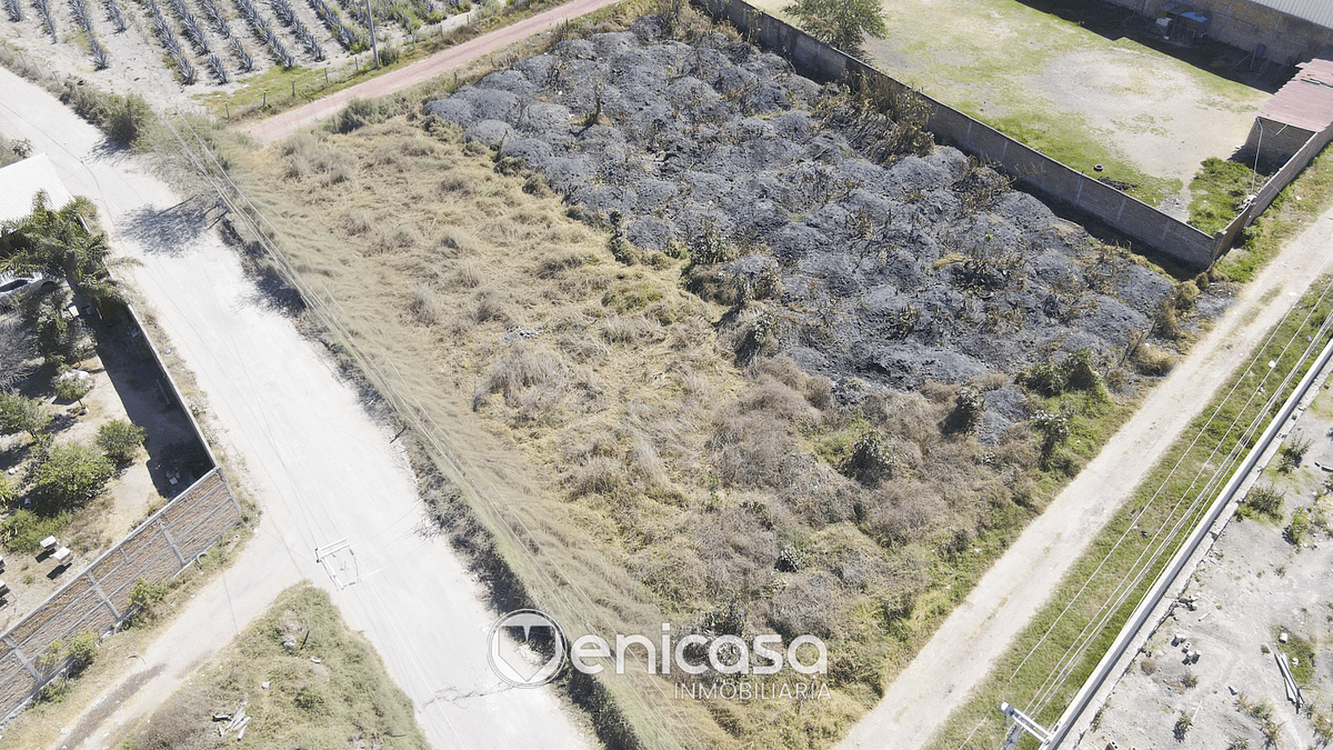 Foto de la propiedad 4