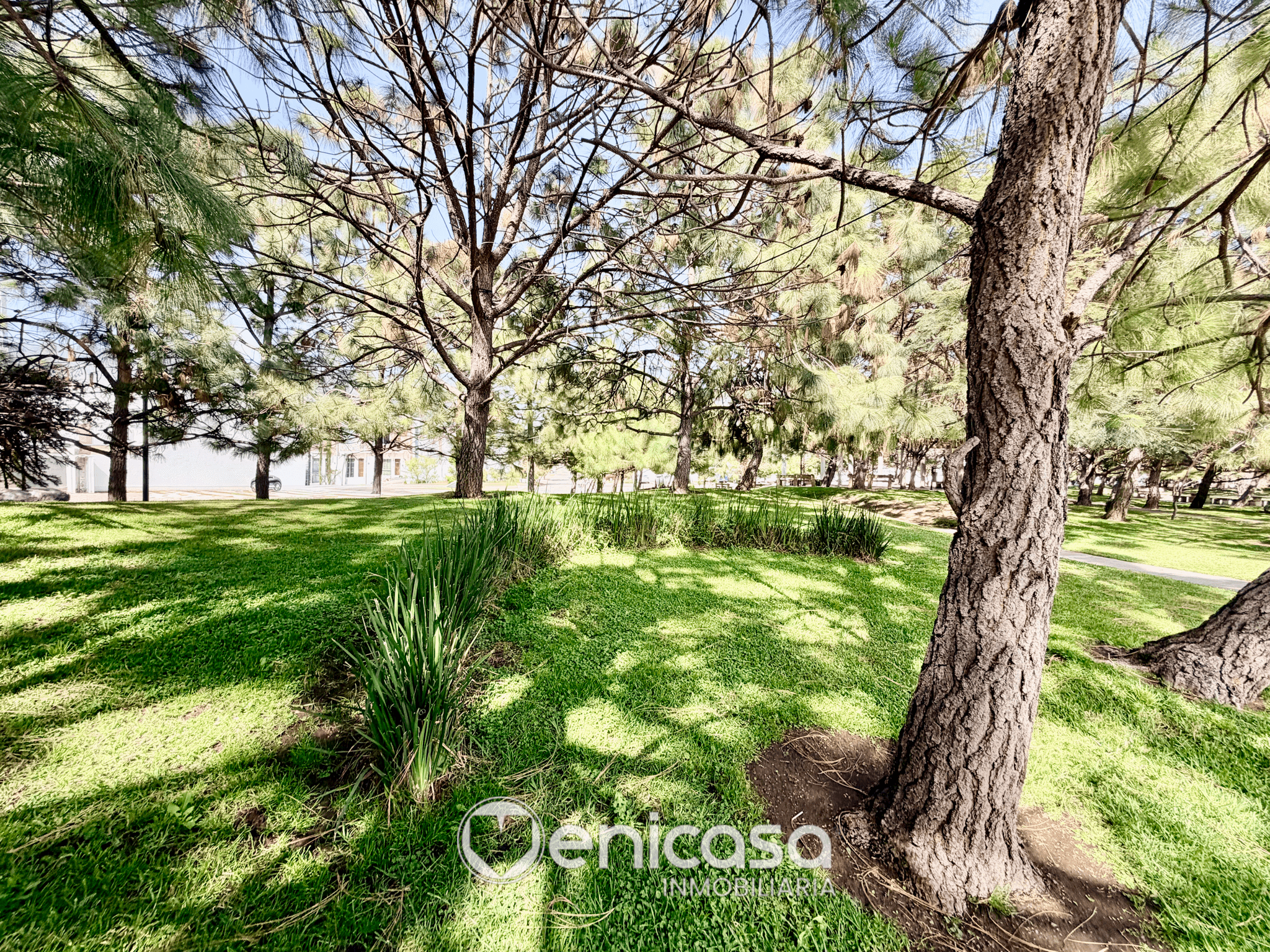 Foto de la propiedad 40